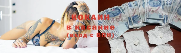 сатива Балахна