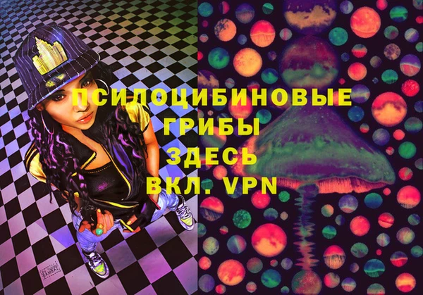 ГАЛЛЮЦИНОГЕННЫЕ ГРИБЫ Балабаново