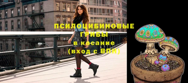 ГАЛЛЮЦИНОГЕННЫЕ ГРИБЫ Балабаново