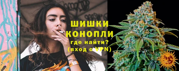 сатива Балахна