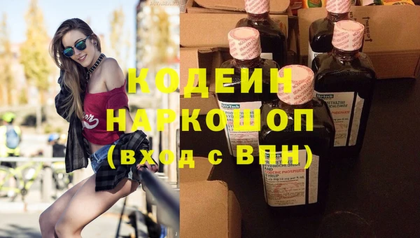 сатива Балахна