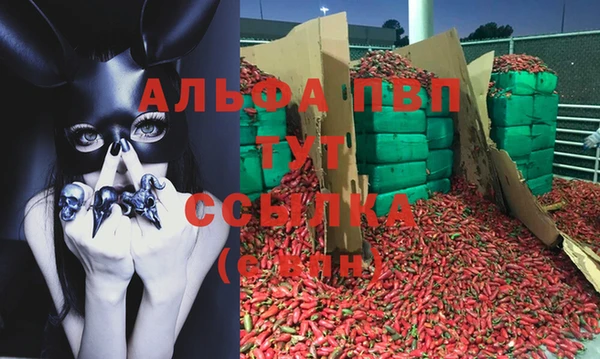сатива Балахна