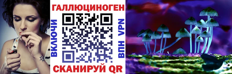 ссылка на мегу зеркало  Няндома  Галлюциногенные грибы Cubensis 